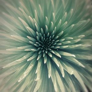 Meet your Posher, Aimee